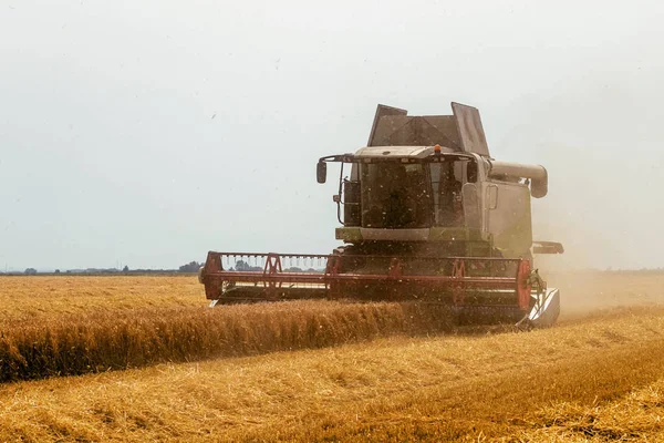 小麦畑で作業している収穫機を組み合わせる。小麦の収穫. — ストック写真
