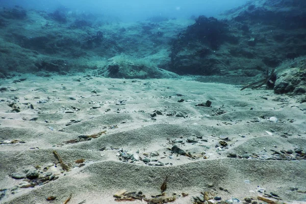 Морське життя під водою Робить сонячне світло, підводне життя — стокове фото