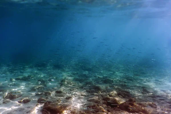 Sonnenstrahlen unter Wasser Felsen und Kieselsteine auf dem Meeresboden Untiefen von sma — Stockfoto