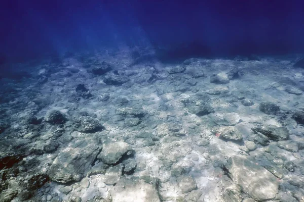 Meeresleben Unterwasser Felsen Sonnenlicht, Unterwasser Leben. — Stockfoto