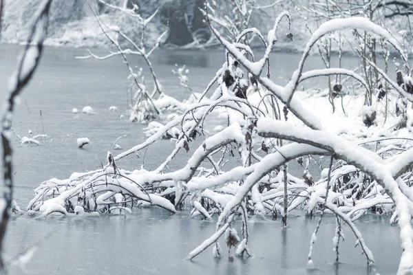 Lac gelé en hiver, Scène de lac d'hiver — Photo