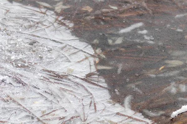 Заморожені трави в озеро. Зимові візерунки замерзлому озері поверхня — стокове фото