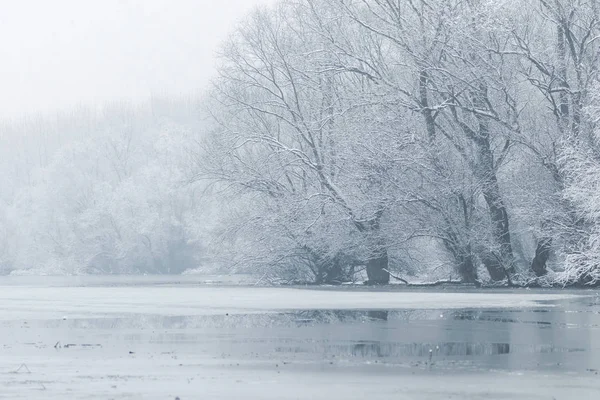 Frozen lake in winter, Winter lake scene — Stock Photo, Image