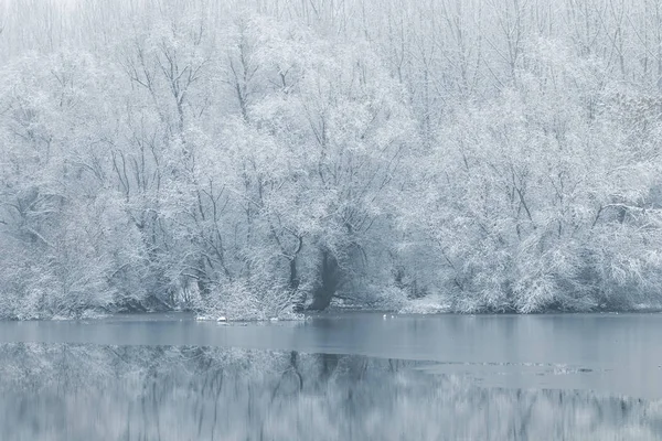 Winter lake scene reflecting in the water — Stock Photo, Image