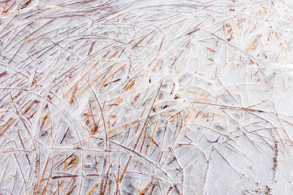 Заморожені трави в озеро. Зимові візерунки замерзлому озері поверхня — стокове фото