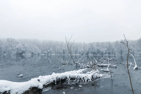 Frozen lake in winter, Winter lake scene reflecting in the water