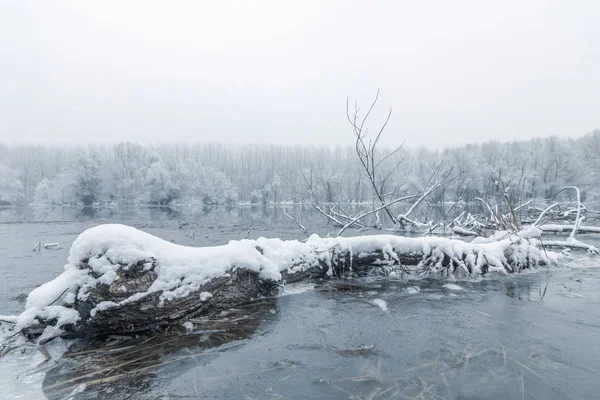 Zugefrorener See im Winter, sich im Wasser spiegelnde Seenszene im Winter — Stockfoto