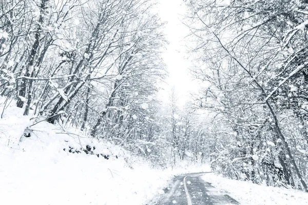 Зимний лес снежная дорога. Зимняя дорога с видом на снег. — стоковое фото
