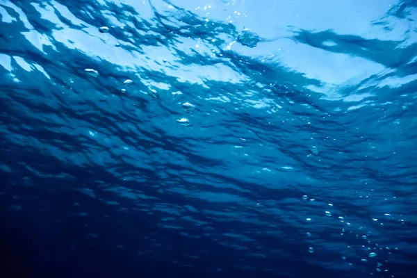 Unterwasserblick auf die Meeresoberfläche. — Stockfoto