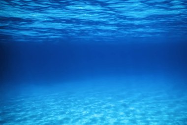 Sualtı Mavi Okyanusu, Kumlu deniz tabanı Su altı arka planı 