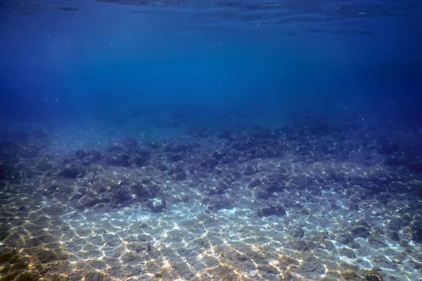 Sea Life undervattens visning solljus, undervattensliv. — Stockfoto