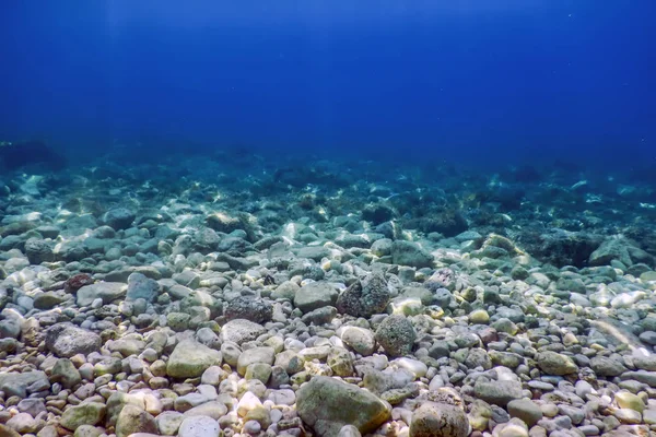 Meereslebewesen Unterwasserblick Sonnenlicht, Unterwasserleben. — Stockfoto