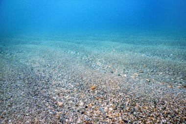 Sandy Sea Bottom Sualtı Arka Plan, Sualtı Mavi Okyanusu