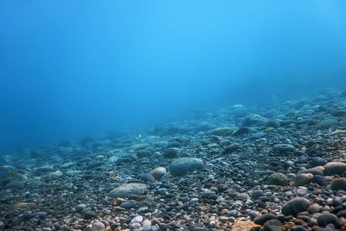 Deniz tabanında Su Altında Kayalar ve Çakıl Taşları