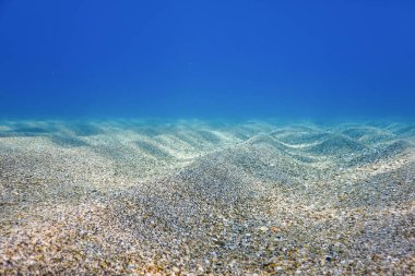 Deniz Yaşamı Su Altında Kayalar Güneş Işığı Altında Yaşam