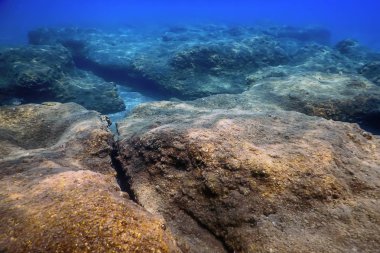 Deniz Yaşamı Su Altında Kayalar Güneş Işığı Altında Yaşam