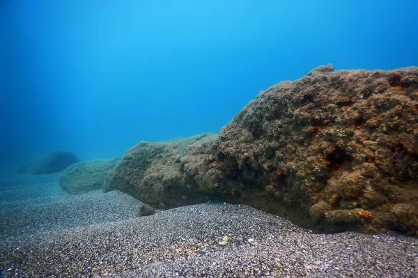 Морське життя під водою Робить сонячне світло, підводне життя — стокове фото