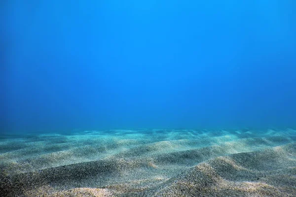 Sualtı Mavi Okyanusu, Kumlu deniz tabanı Su altı arka planı — Stok fotoğraf