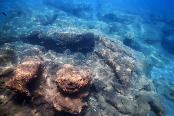 Sea Life Υποβρύχια Rocks Sunlight, Υποβρύχια Ζωή — Φωτογραφία Αρχείου