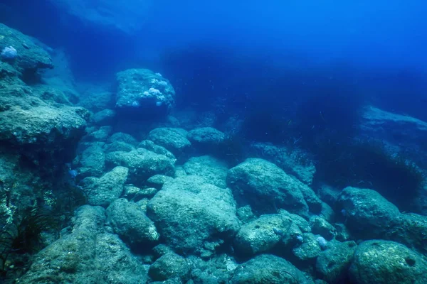 Tengeri élet Víz alatti sziklák Napfény, víz alatti élet — Stock Fotó
