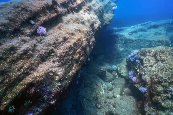 Sea Life Υποβρύχια Rocks Sunlight, Υποβρύχια Ζωή — Φωτογραφία Αρχείου