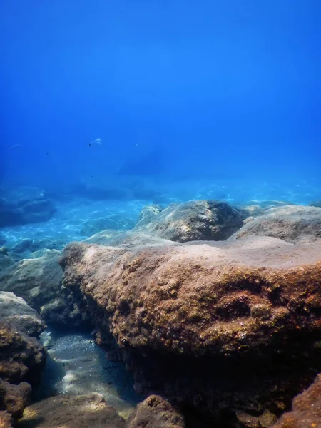 Морская жизнь подводные скалы Солнечный свет, подводная жизнь — стоковое фото
