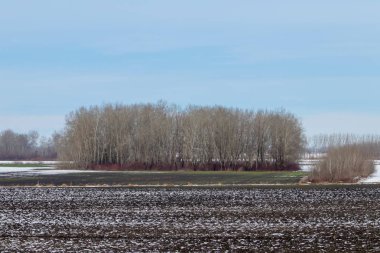 Erken bahar alanları karla kaplı, plowe üzerinde eriyen kar