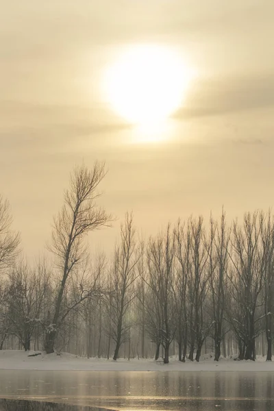 Bevroren meer in bos winter zon, winter zon landschap — Stockfoto