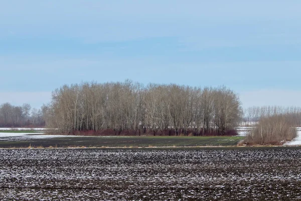 Vroege lente velden bedekt met sneeuw, smelten sneeuw op de plowe — Stockfoto