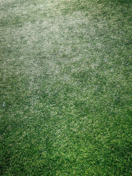 Artificial Turf, Artificial Grass, Green Field for Football 