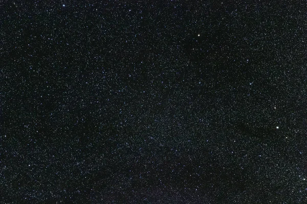 Cygnus Konstellation i Real Night Sky, Swan Konstellation Starr — Stockfoto