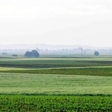 Küçük Tepelerdeki Yeşil Tarlalar Gün batımında Beyaz Bulutlar
