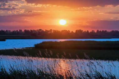 Gölün Üzerinde Günbatımı Sahnesi, Su Yüzeyi Günbatımı