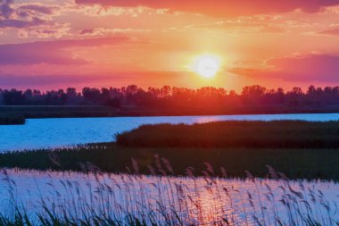 Gölün Üzerinde Günbatımı Sahnesi, Su Yüzeyi Günbatımı