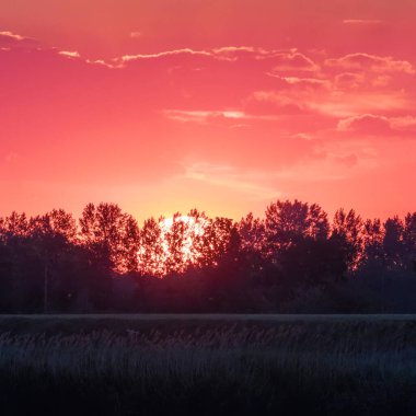 Güzel Günbatımında Gökyüzü Bulutları