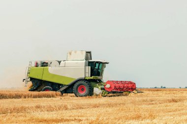 Buğday tarlasında çalışan hasat makinesini birleştirin. Buğday hasat ediyorum..