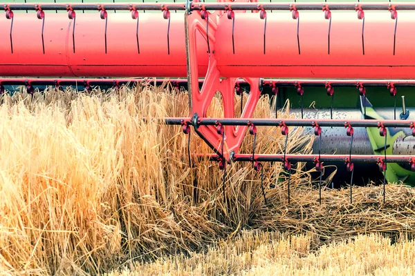 Closeup Combine Memanen Ladang Gandum Gabungan Kerja Lapangan — Stok Foto