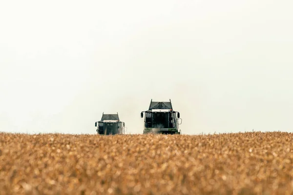 Mähdrescher Arbeitet Auf Einem Weizenfeld Weizenernte — Stockfoto