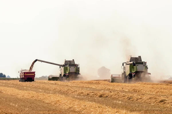 小麦畑で作業している収穫機を組み合わせる 小麦の収穫 — ストック写真