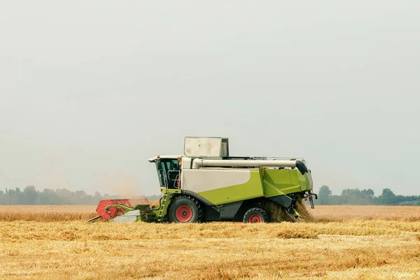 Gabungan Pemanen Yang Bekerja Ladang Gandum Memanen Gandum — Stok Foto