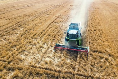 Buğday tarlasında çalışan hasat makinesini birleştirin. Biçici Hava Görünümünü Birleştir. 