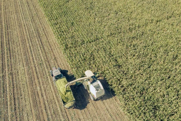 Landbouw Snijden Kuilvoer Vullen Aanhangwagen Het Veld Luchtfoto — Stockfoto