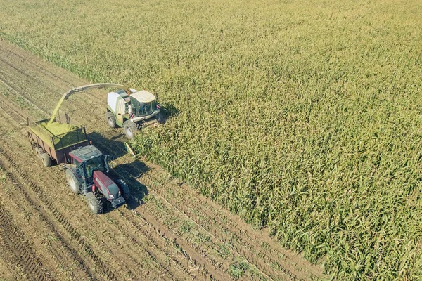 Agricultura Corte Ensilaje Llenado Remolque Campo Vista Aérea —  Fotos de Stock