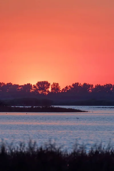 Cena Por Sol Sobre Lago Por Sol Superfície Água — Fotografia de Stock