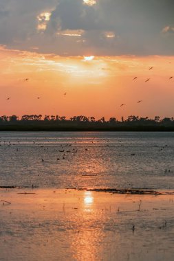 Gölün Üzerinde Günbatımı Sahnesi, Su Yüzeyi Günbatımı