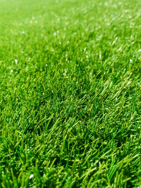 Artificial green grass, green grass, grass background texture