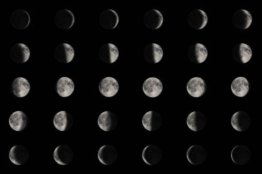 Phases of the Moon, Lunar cycle clipart