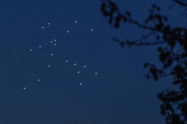 Centaurus yıldız takımyıldızı, gece gökyüzü, yıldız kümesi, derin uzay.