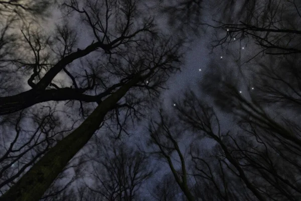 Constelación Estrellas Monoceronte Cielo Nocturno Racimo Estrellas Espacio Profundo Constelación — Foto de Stock