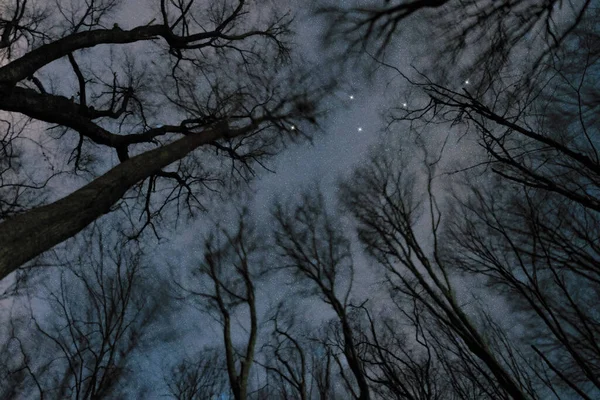 Созвездие Льва Малой Звезды Ночное Небо Скопление Звезд Глубокий Космос — стоковое фото